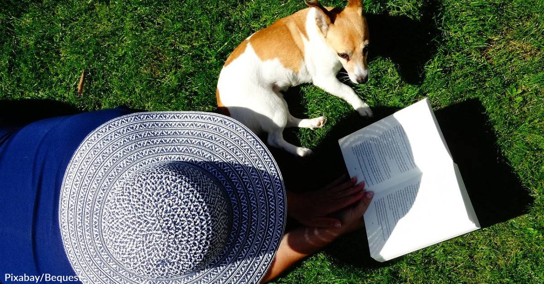 6 Great Pet-Themed Items for Summer Fun & Style the Entire Family Can Enjoy