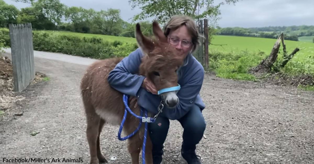 Baby "Moon" Has Been Found Alive & Returned to Her Frantic Mother!