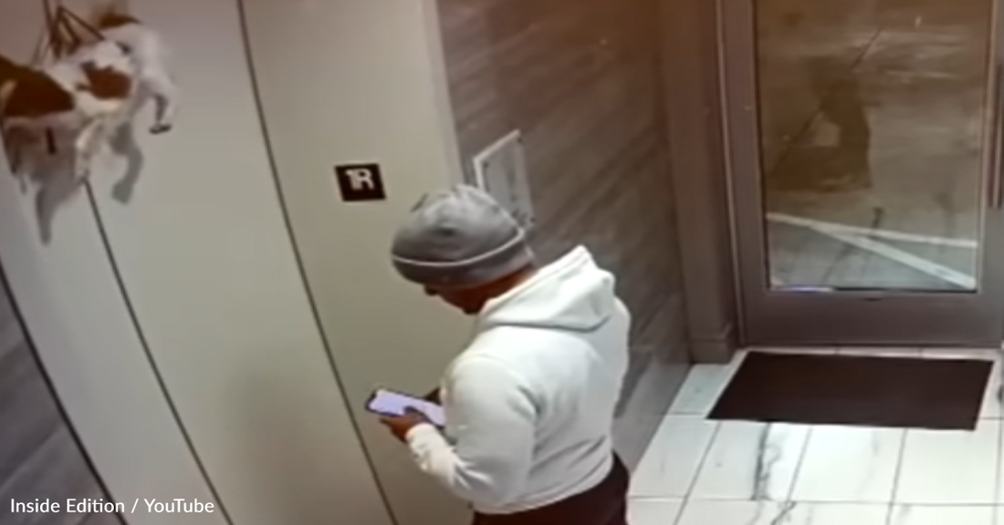 Man Rescues Dog Dangling From Elevator Doors