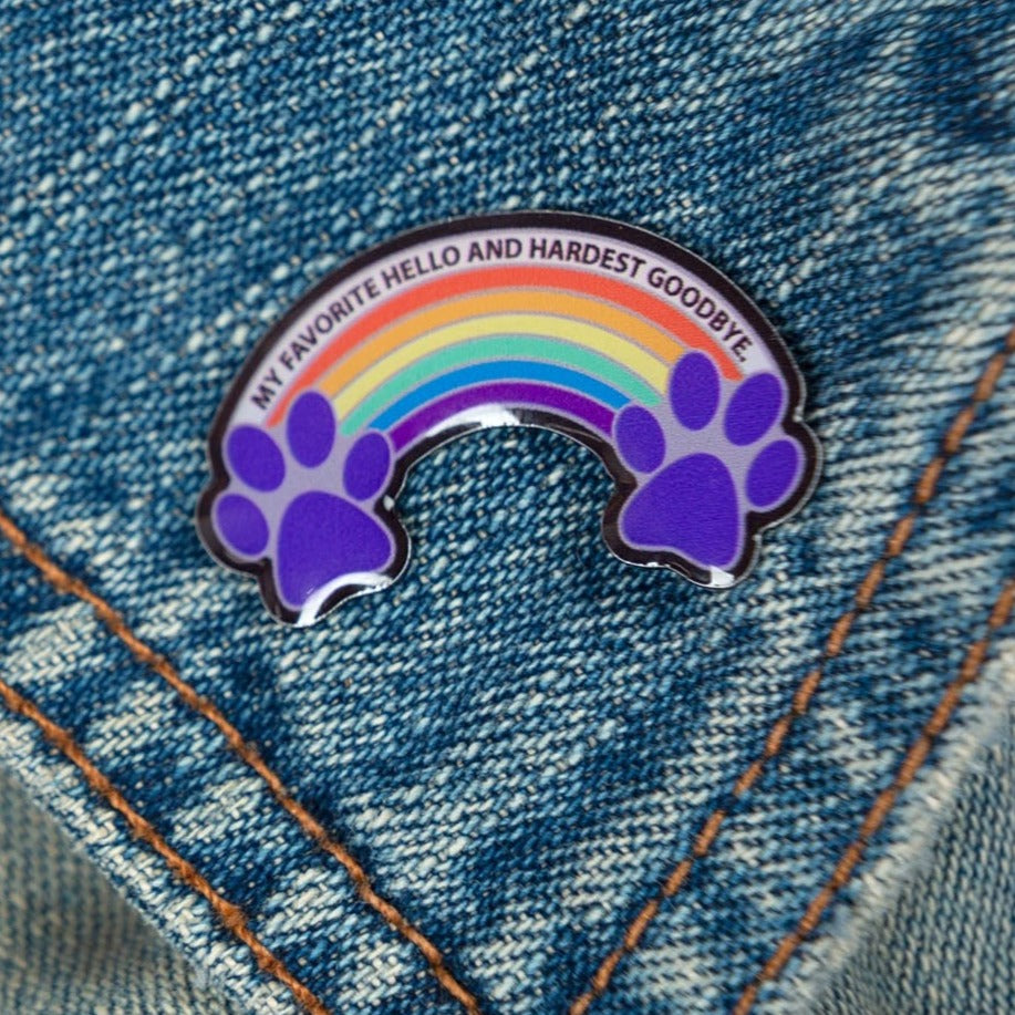 Rainbow Bridge Paw Lapel Pin