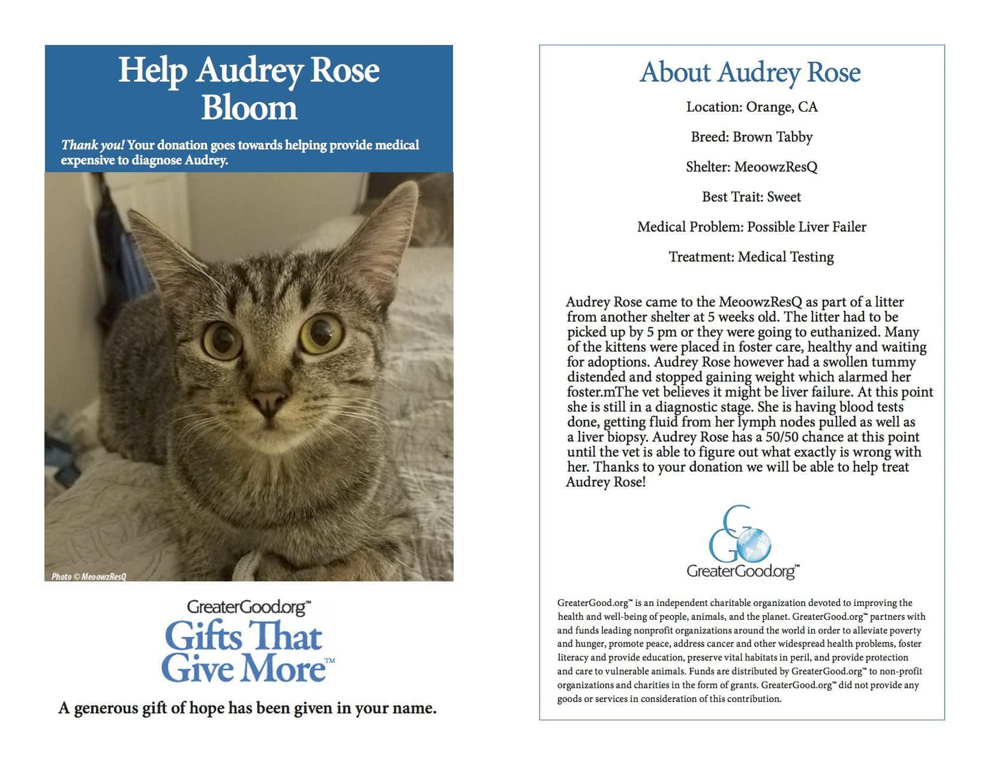 Help Audrey Rose Bloom!