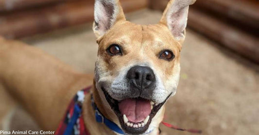 Spry Girl "Rascal" Doesn't Believe in Discriminating Against Seniors