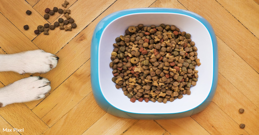 Recalled Pet Food Sold Nationwide Could Be Linked To Hundreds Of Deaths And Illnesses