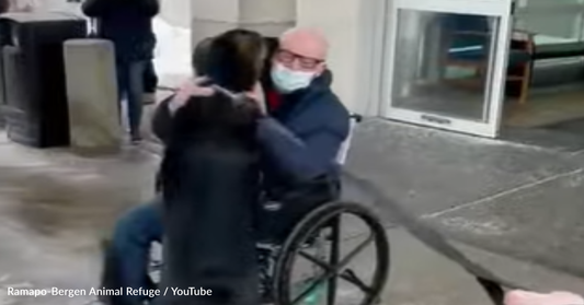 Dog Reunites With Owner After Saving His Life During A Stroke