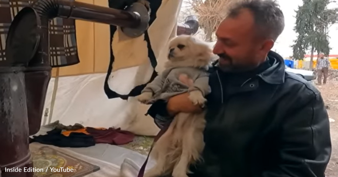Family Left Homeless After Earthquake Adopts Dog They Pulled From The Rubble