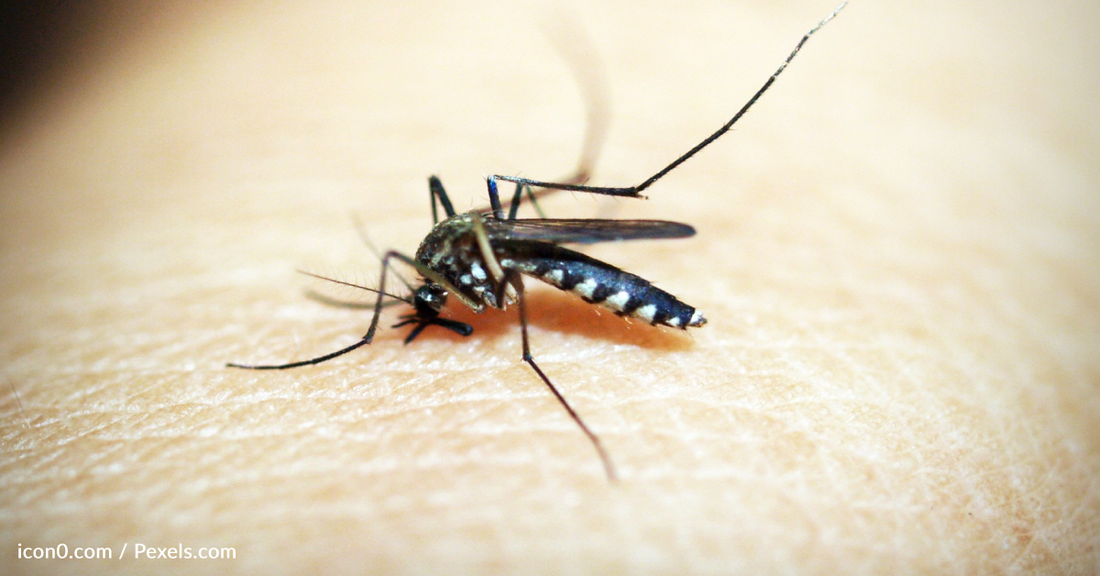 Parents Rave About Cheap Beauty Product That Stops Mosquitoes