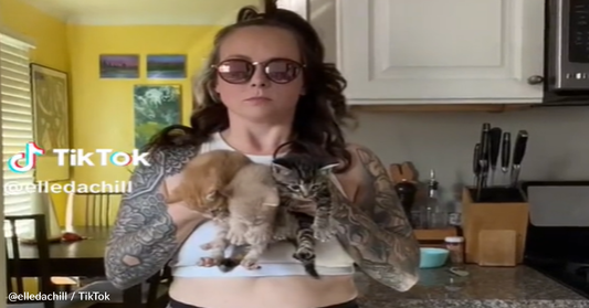 Amazon Driver Asks Woman To Care For Tiny Kittens And Never Returns