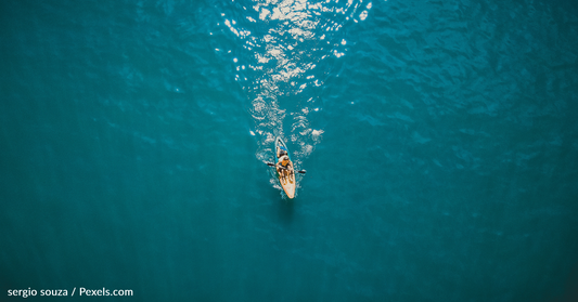Tiger Shark Attacks Kayaker Fishing Off The Coast Of Oahu