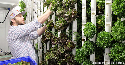 Company Aims To End Food Inequality By Turning Shipping Containers Into Vertical Hydroponic Farms