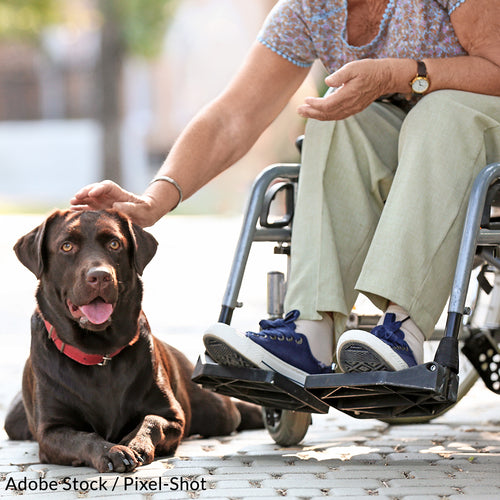 Take the Assistance Dog Pledge