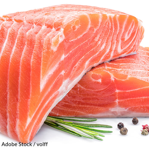 Keep Genetically Engineered Fish Off The Dinner Table!