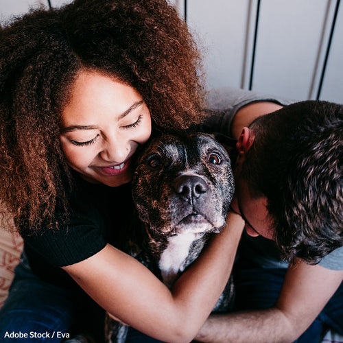 End Breed Discrimination Policies In Public Housing