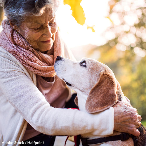 Save a Heart - Take the Heartworm Pledge