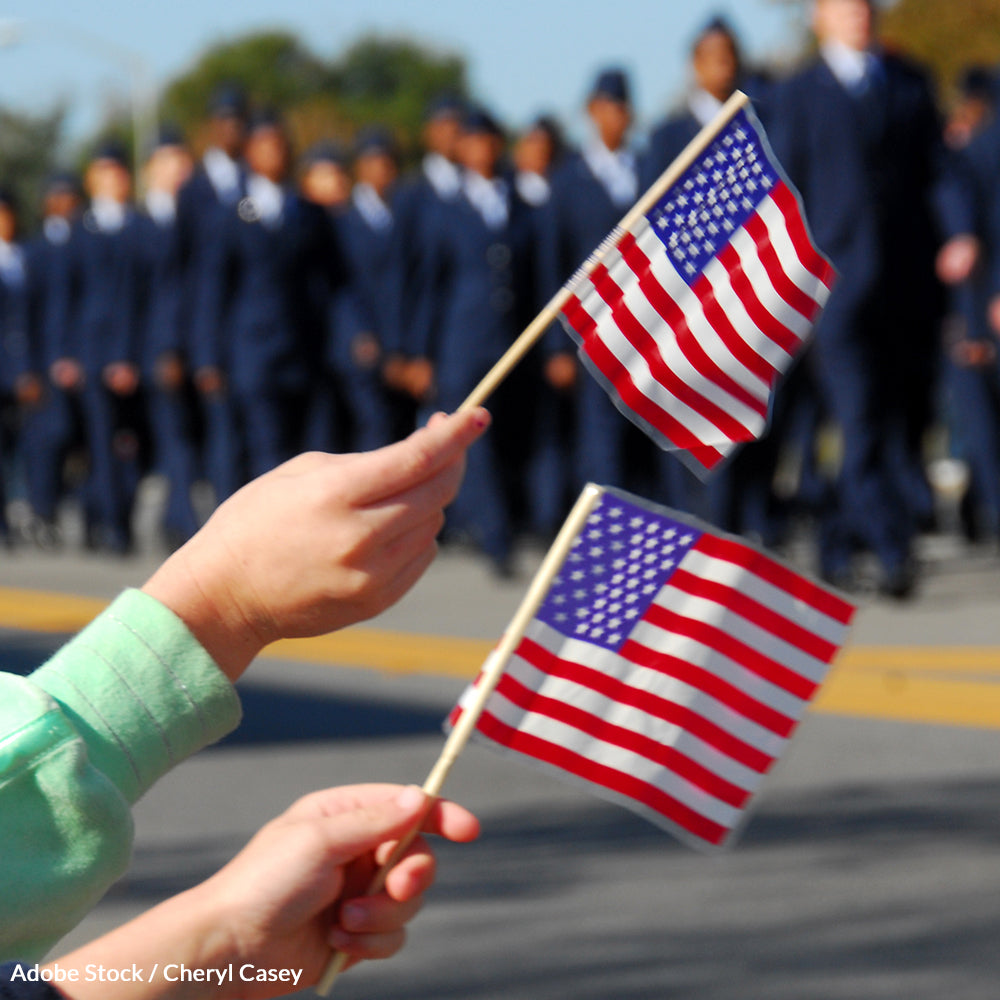 Take the Veterans Day Pledge