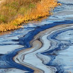 Shell: Clean Up Or Get Out
