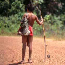 Save The Indigenous People Of The Brazilian Amazon!