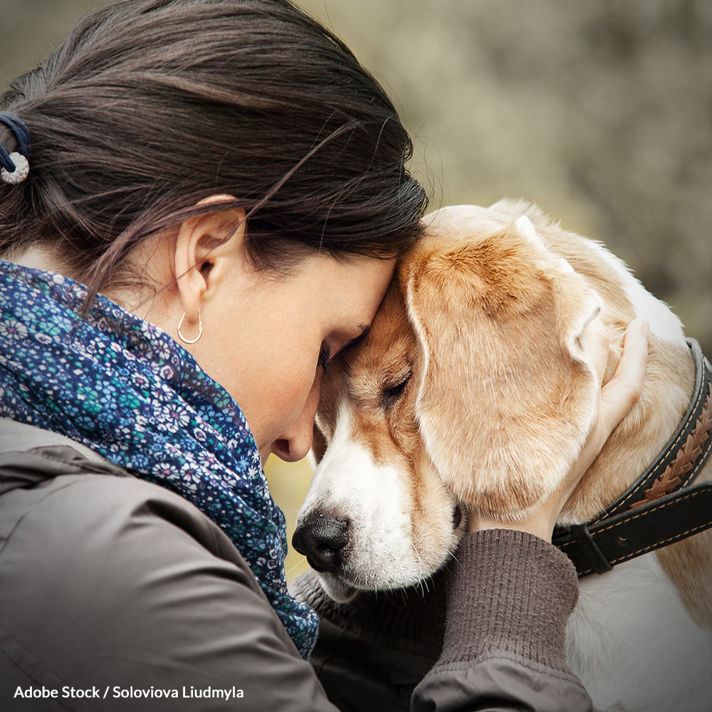 Save Pets From Abandonment After Foreclosure