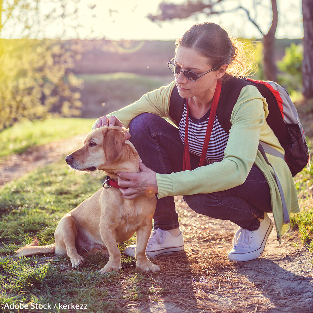 Pledge to Keep Pets Safe from Lyme Disease