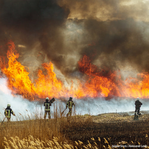 Rebuild the US Forest Service and Prevent Mega-Fires