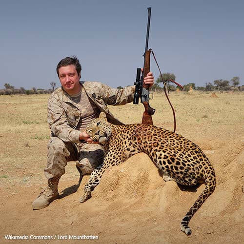Violence Against Animals Does Not Belong on Instagram!