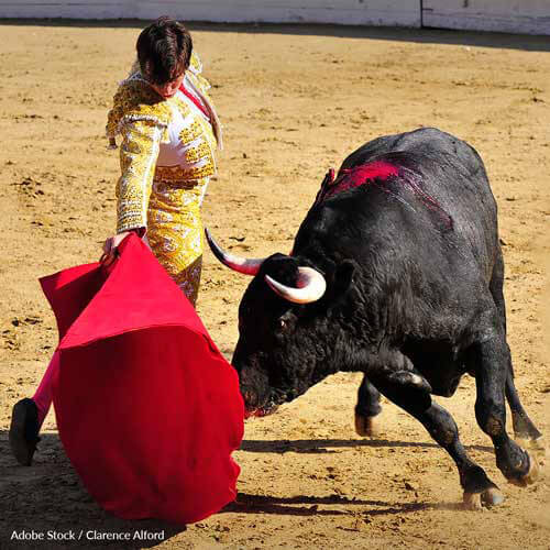 Running With Or Fighting Bulls For 'Sport' Is Anything But