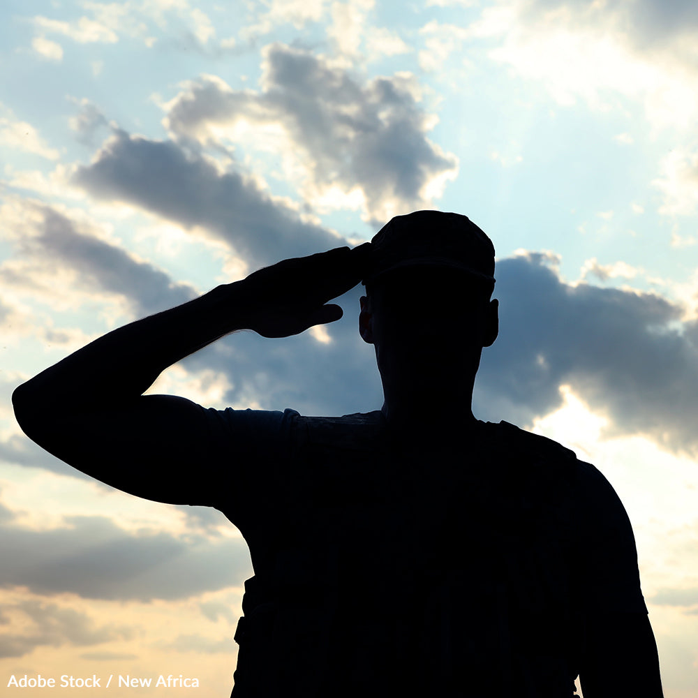 Pledge To Honor Veterans Who Served In Afghanistan