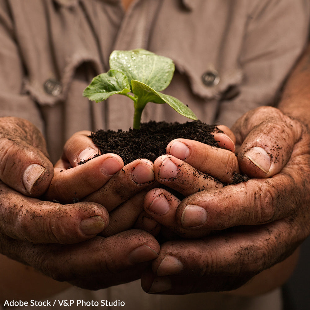 Help the Coalition to Protect and  Rescue Pets Ban Cruel Devocalization Surgery!