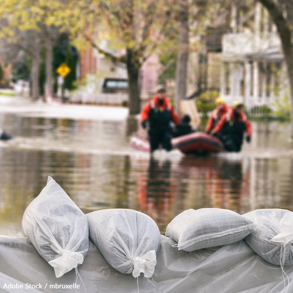 Pledge To Help People and Pets During Disaster