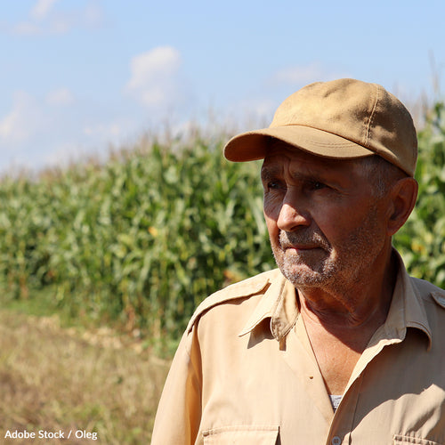 Help Small-Scale Farmers Support Their Families