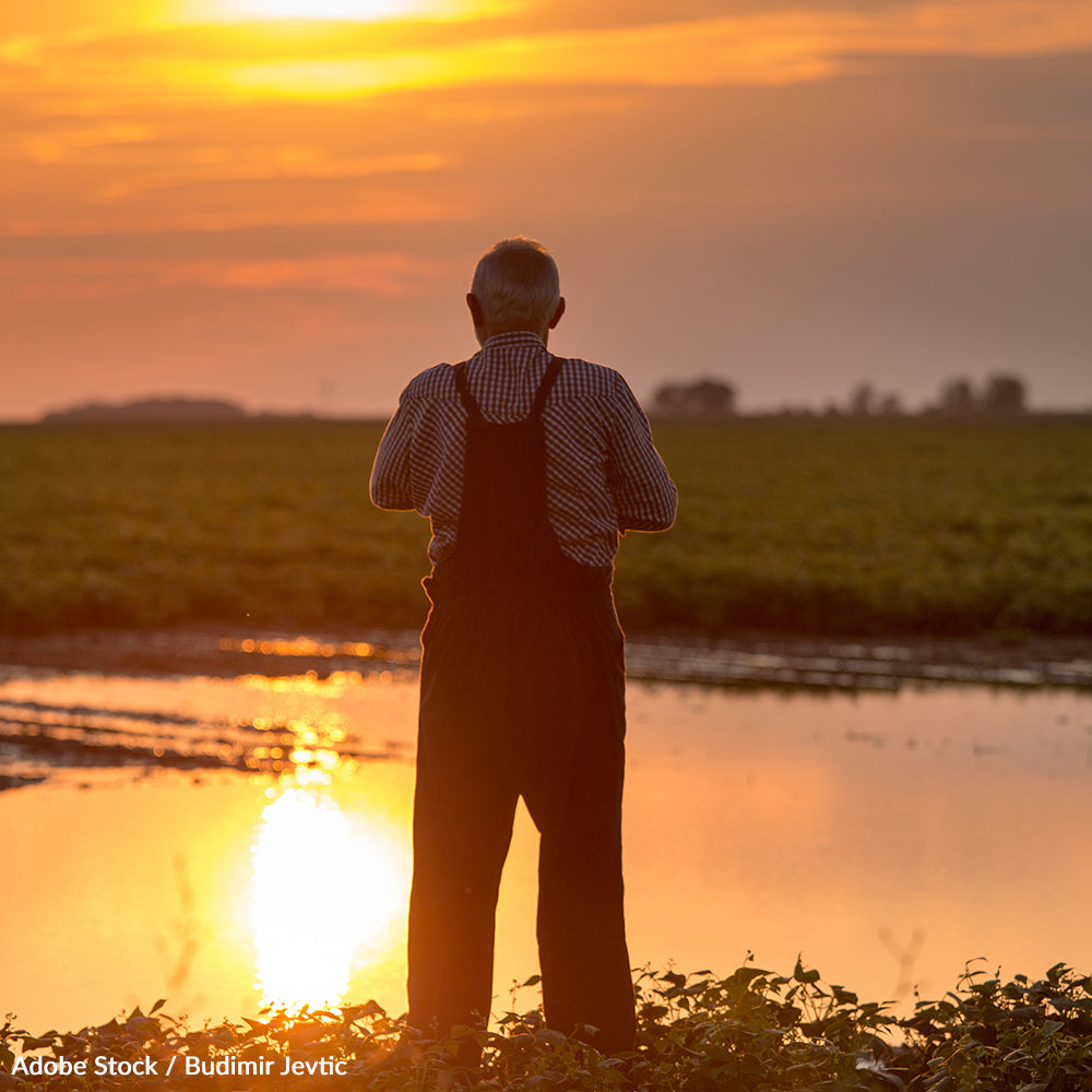 Protect Food Systems From The Impact Of Natural Disasters