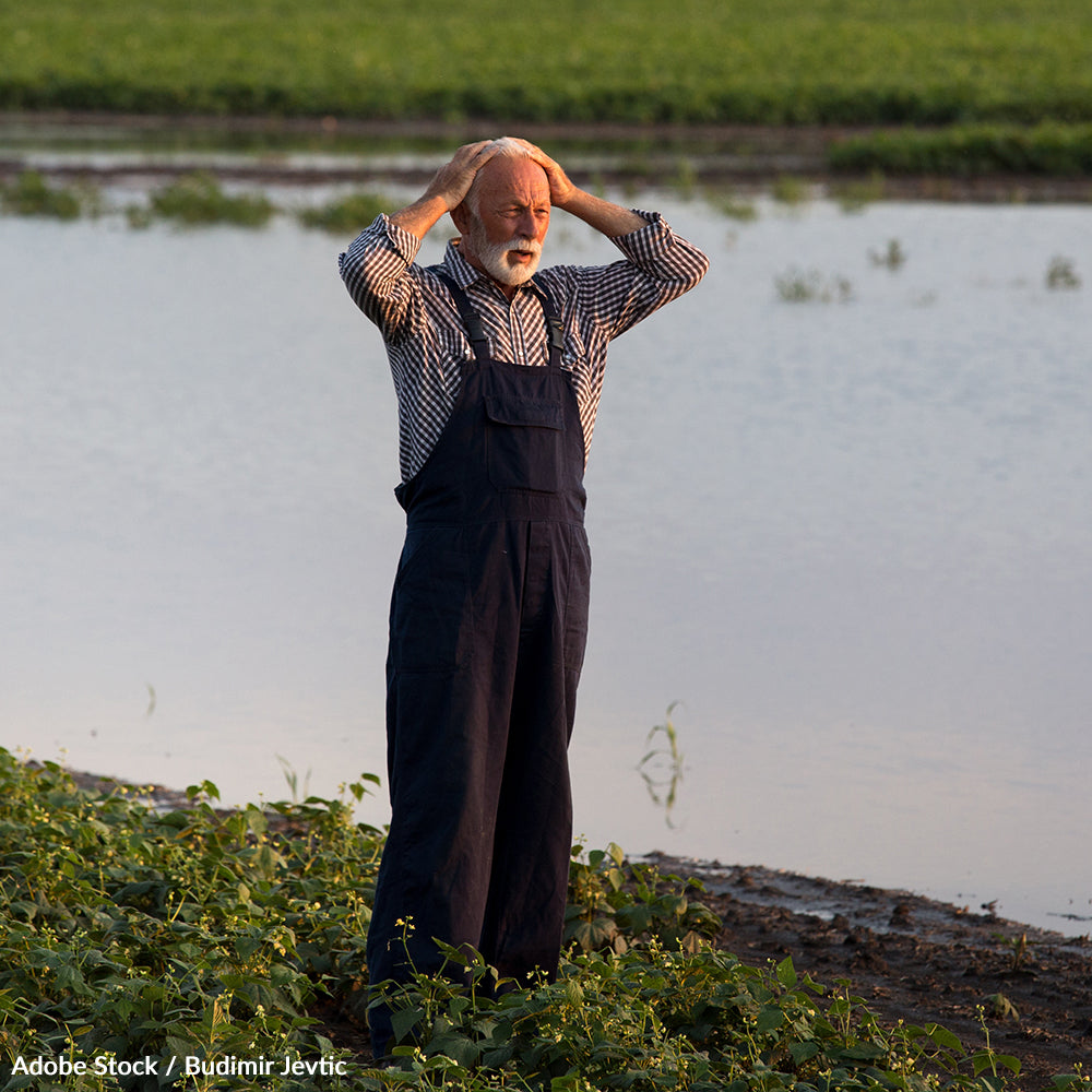 Pledge to Support Farmers Affected by Natural Disasters