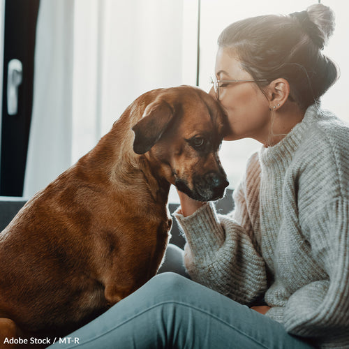 Pledge to Protect Pets from Dog Flu