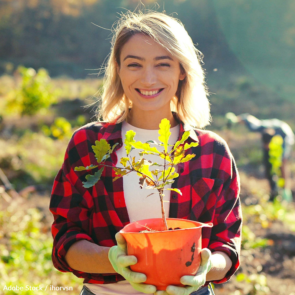 Take the Arbor Day Pledge and Protect Trees