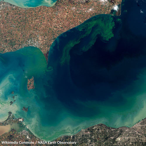 Pledge to Prevent Toxic Algae Blooms