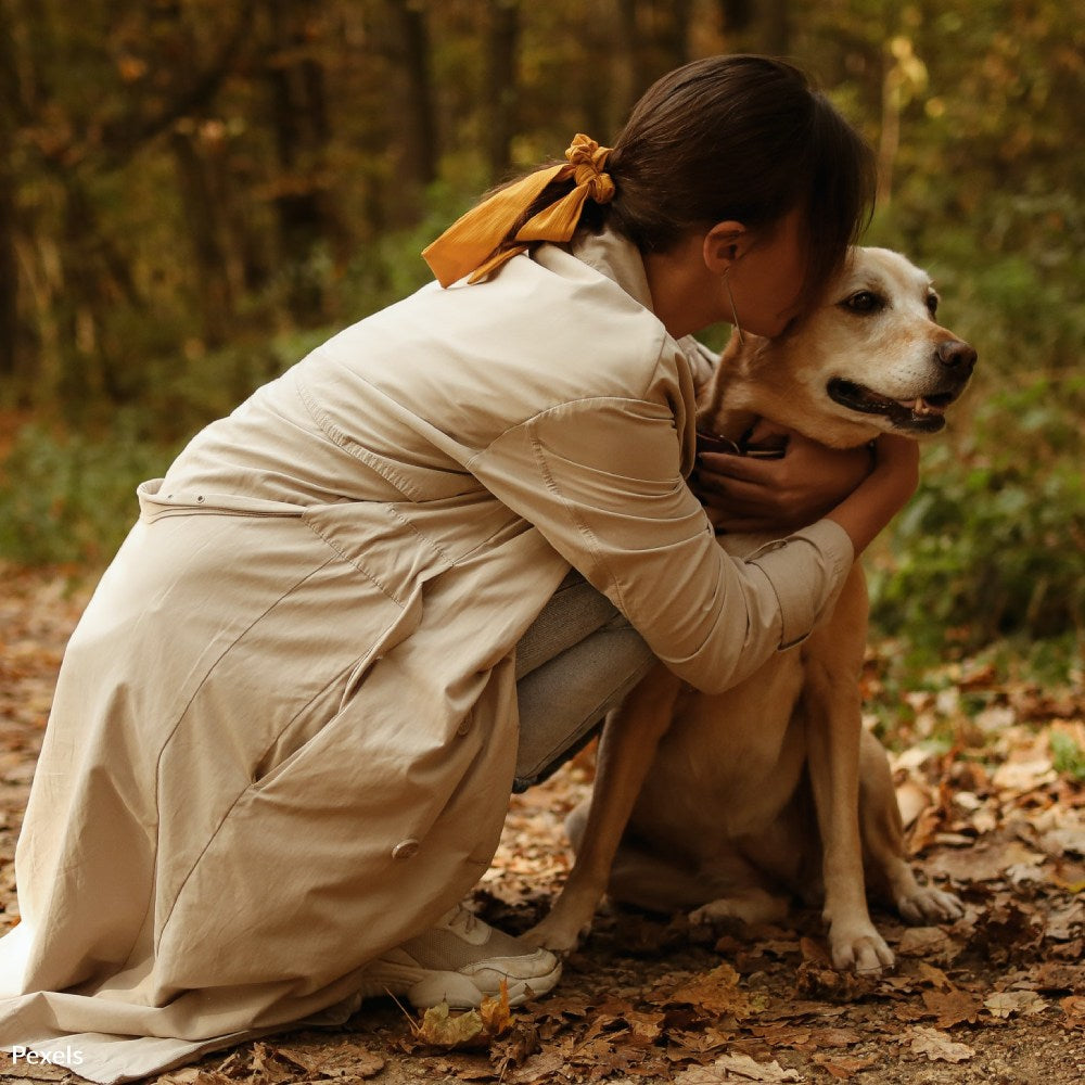 Honor Rainbow Bridge Remembrance Day