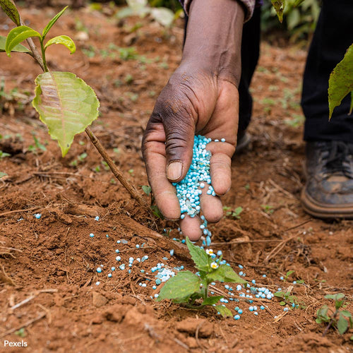 Take Action to Secure Our Food Supply