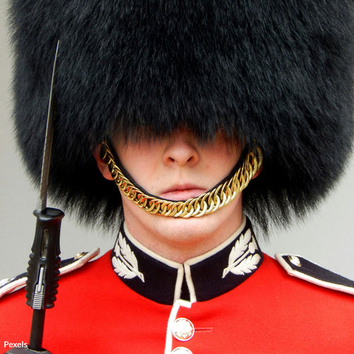 End This Cruel Tradition And Protect Bears from Slaughter