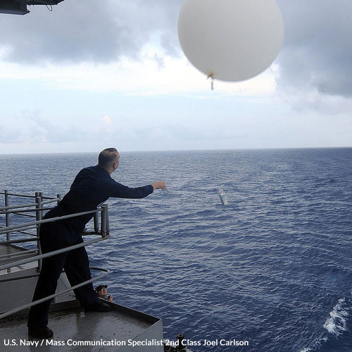 Save Sea Turtles From Deadly Balloon Pollution