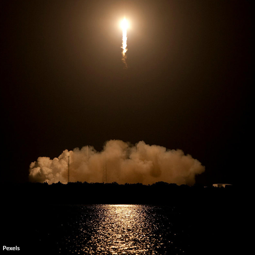 Don’t Let SpaceX Destroy Wetlands in Texas