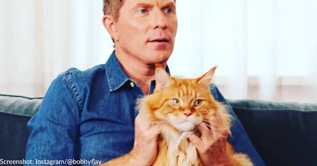 Bobby Flay Heartbroken Over the Death of His Beloved Cat, Nacho
