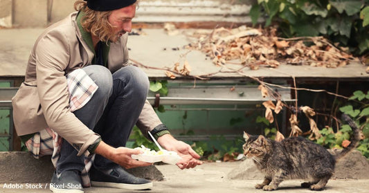 How Can We Help Unhoused People with Pets? Study Shares Five Strategies