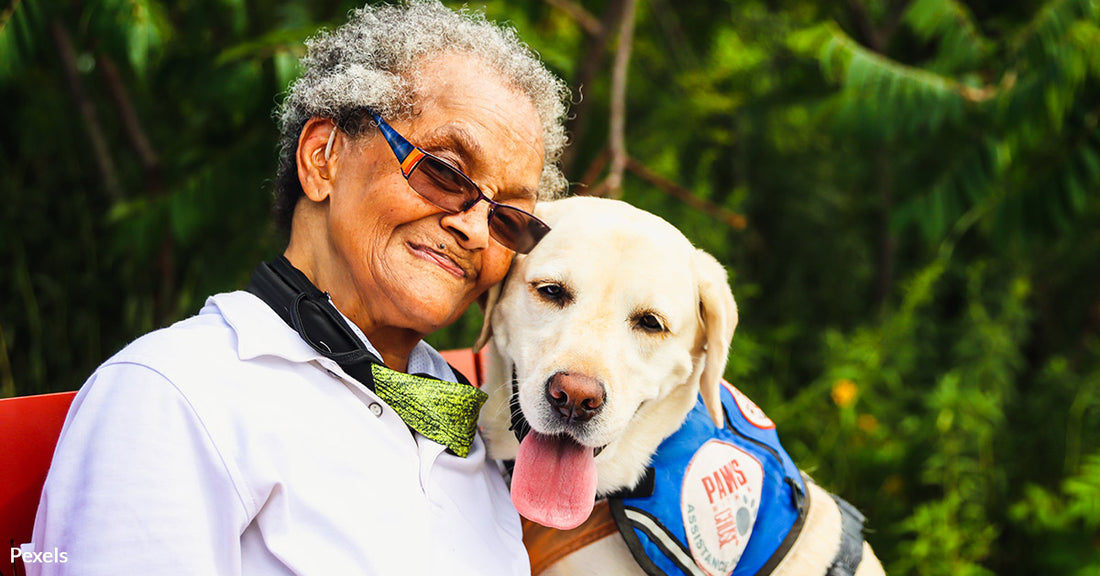 Pets May Slow Dementia Progress in Older Adults Living Alone, Study Reveals