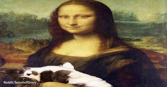 What Do Da Vinci's Mona Lisa and Michelangelo's The Creation of Adam Have in Common? A Modern Cat