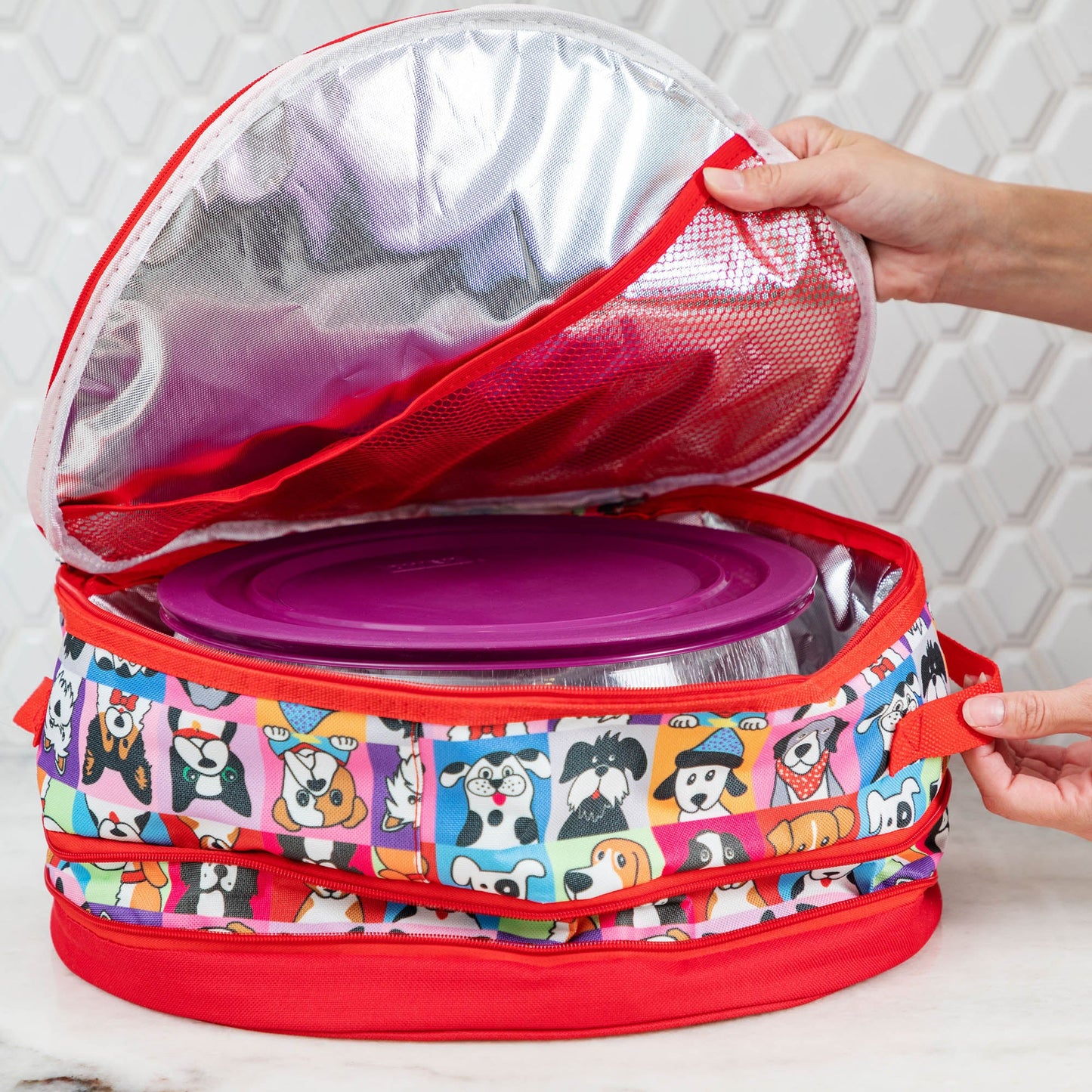 Insulated Pet Portrait Casserole Carrier