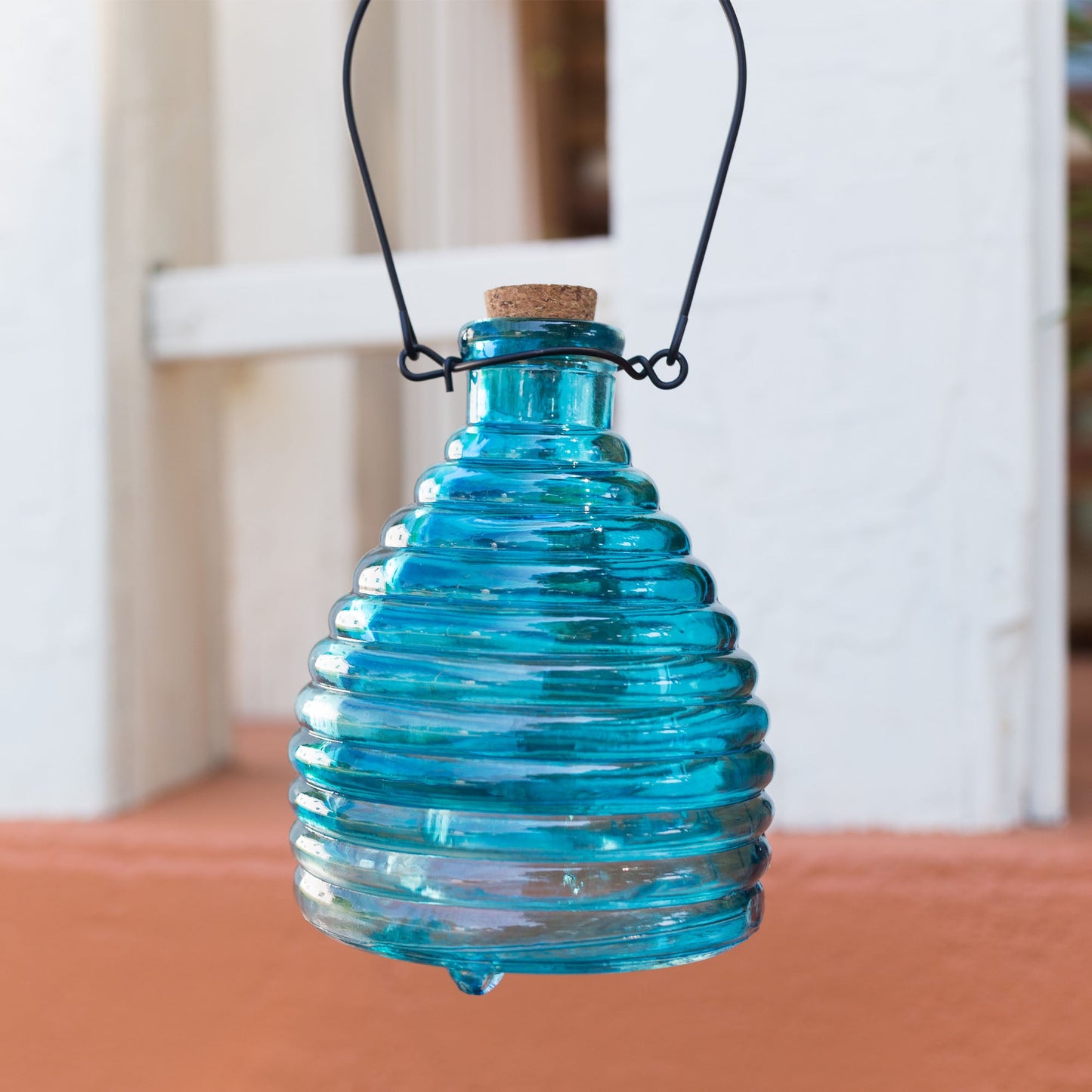 Glass Wasp Trap