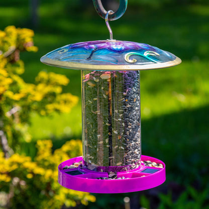 Bright & Bold Solar Bird Feeder