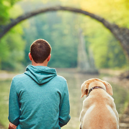 Benefit Buy - School Packs For Shelter Dogs To Become A Best Bud For A Veteran