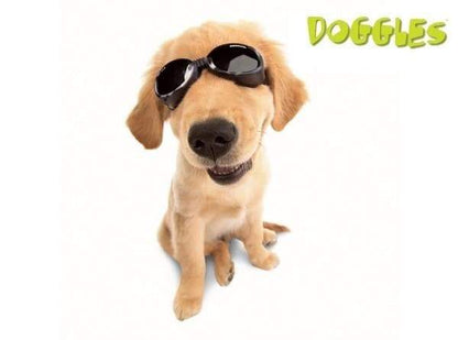 Black Doggles ILS Protective Eyewear