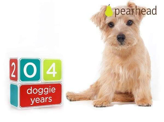 Pet Age Blocks