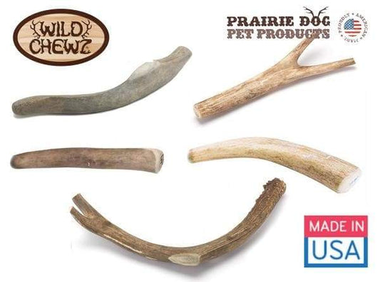 Deer Antler Chews USA Made